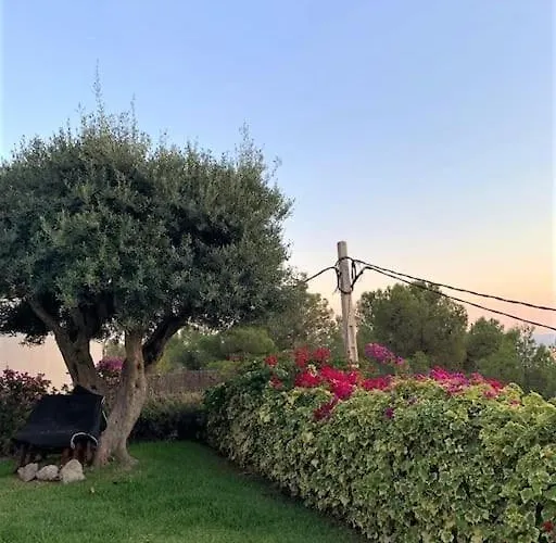 Julia Vista Espectacular 2 K M S De La Playa Comoda & Area Tranquila Amplitud Interior Y Plana